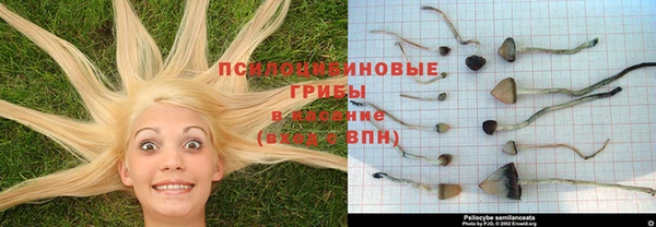 прущие крисы Балахна
