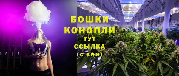 ПСИЛОЦИБИНОВЫЕ ГРИБЫ Балабаново