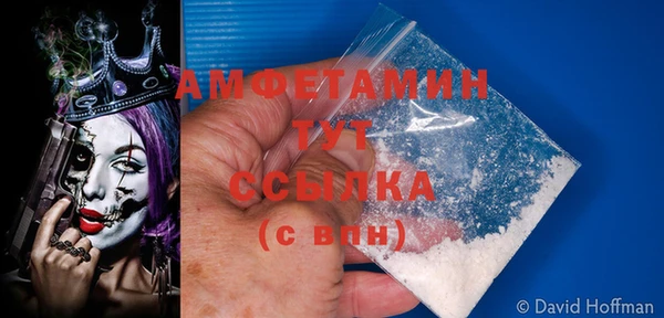 ПСИЛОЦИБИНОВЫЕ ГРИБЫ Балабаново
